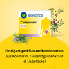 Produktbühne_Kachel_Pflanzlichkeit_Canephon_Packung_mit_Pflanzen