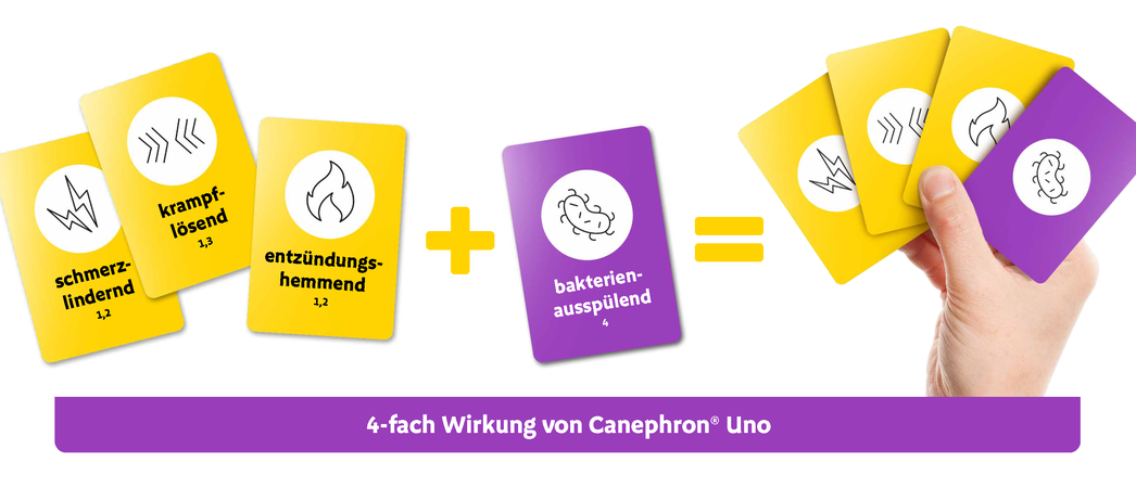 Textbild_Kartengrafik