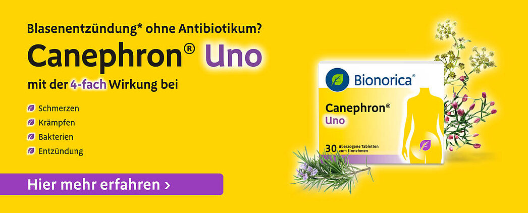 textbild_CTA_Canephron_entdecken