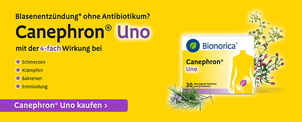 Textbild_CTA_Canephron_kaufen