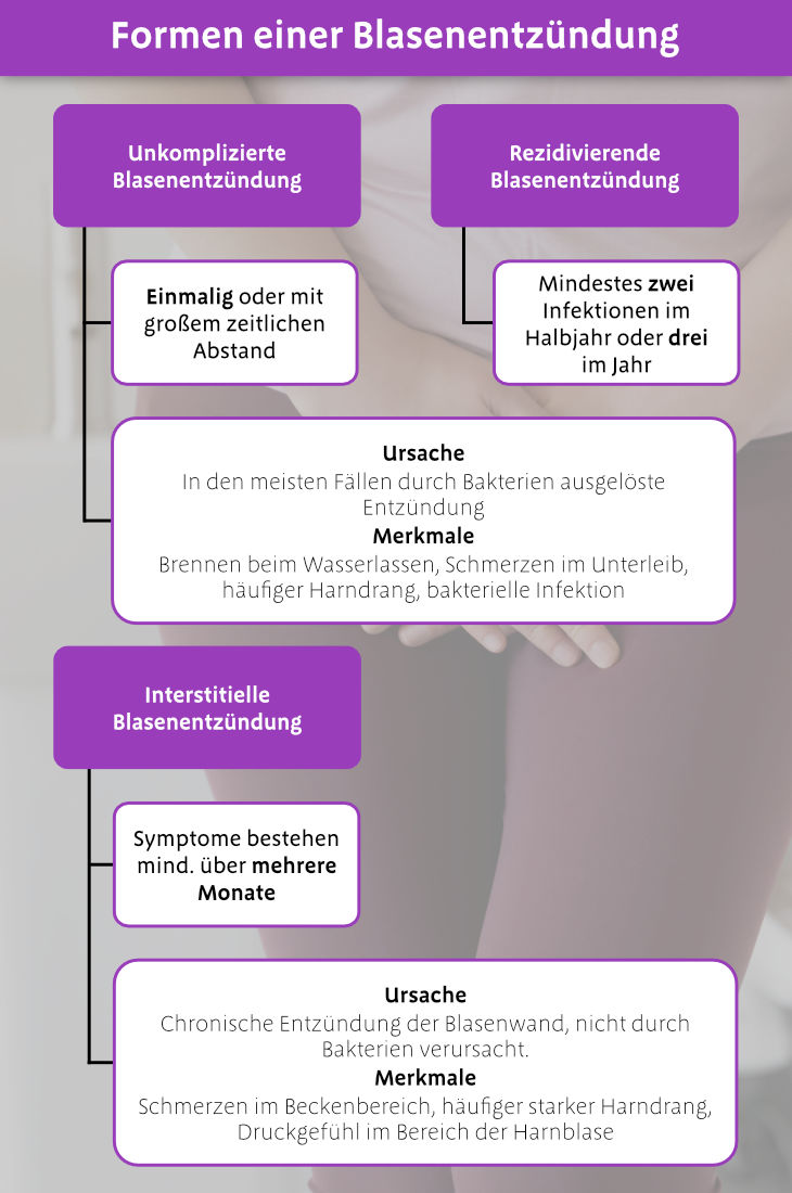 Infografik Blasenentzündung Formen nach Häufigkeit/Dauer