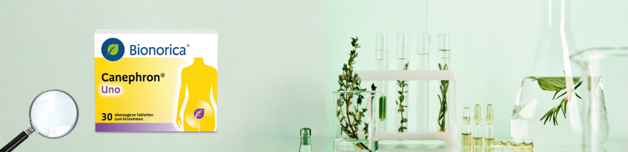 Header Canephron Studien und Wissenschaft