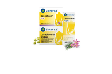 Canephron Portfolio Übersichtsseite
